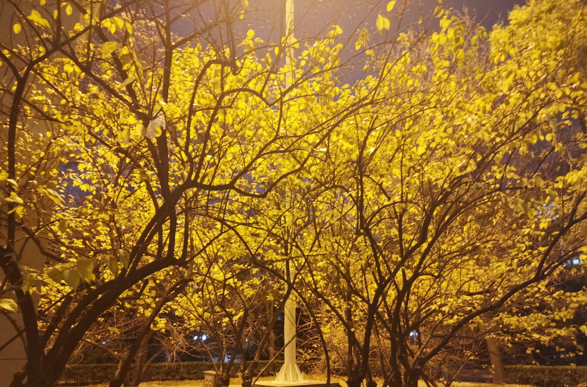 郑州经济贸易学校官网_郑州经济贸易学校_郑州经济贸易学校简介
