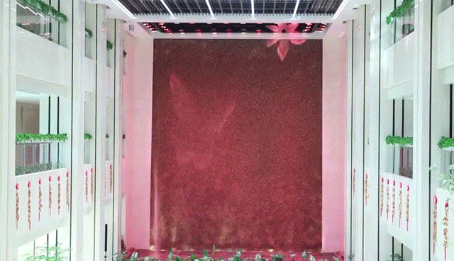 合肥工业经济学校地址在哪_合肥工业经济学校_合肥工业经济学校马秀涛