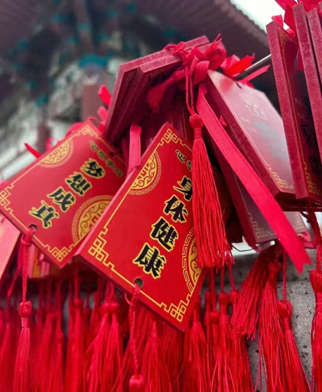 生肖金鸡独立是什么动物_金鸡独立是什么生肖_金鸡独立的生肖