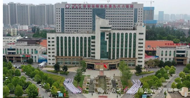 国内助孕中心_国内十大助孕机构价格_国内10大助孕机构