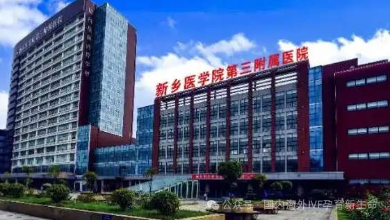 国内十大助孕机构价格_国内助孕中心_国内10大助孕机构