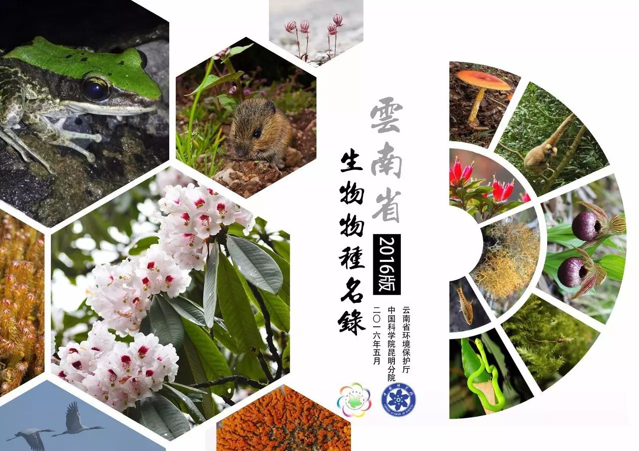 助孕公司排名_国内专业的助孕公司_国内10大助孕机构