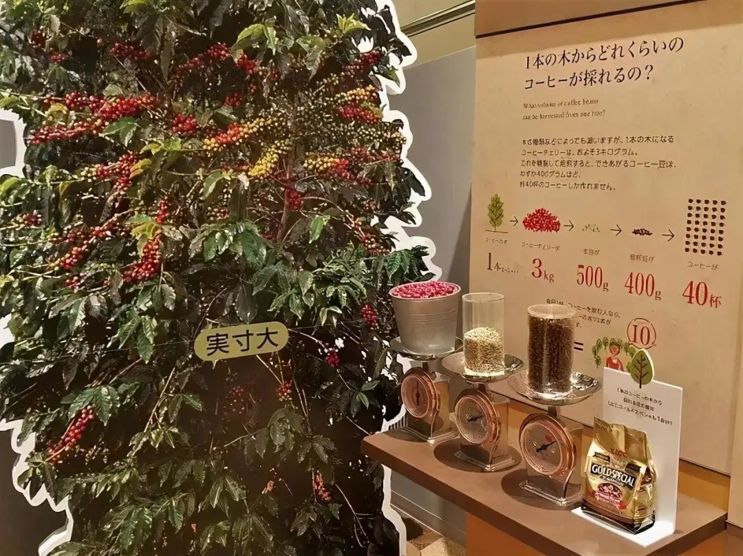 博雅旅游文化网贺州景点_博雅文化旅游网_博雅旅游文化网官网