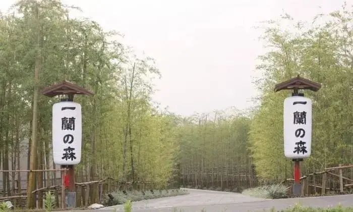 博雅文化旅游网_博雅旅游文化网贺州景点_博雅旅游文化网官网