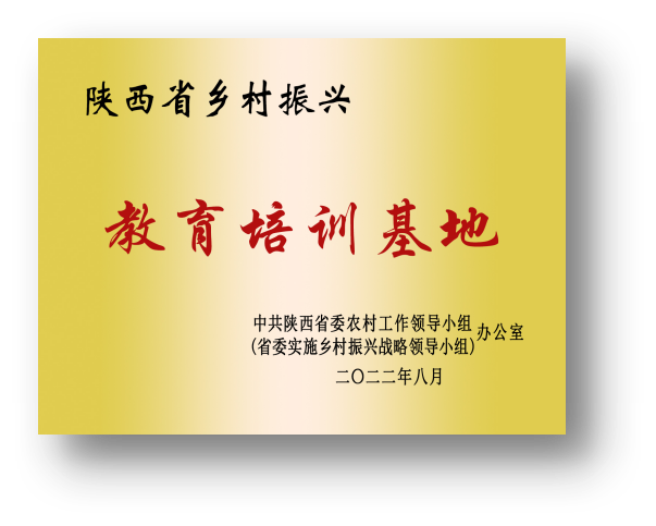 西安石油大学教务_西安石油教务处_西安石油大学教务处网站