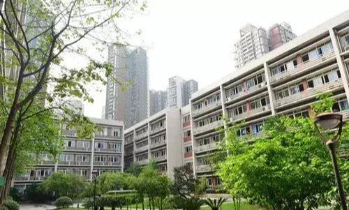 鲁能巴蜀中学是重点吗_鲁能巴蜀中学教学质量怎样_鲁能巴蜀中学是重点高中吗