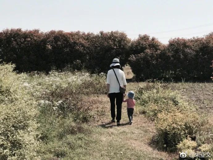 沈佳妮个人简介_沈佳妮_沈佳妮的个人资料