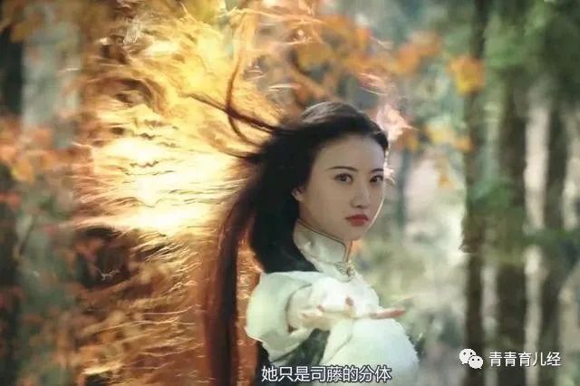 司藤结局没懂_司藤结局剧情_司藤结局