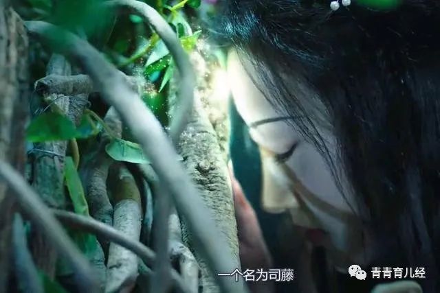 司藤结局_司藤结局没懂_司藤结局剧情