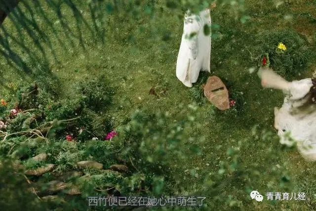 司藤结局_司藤结局剧情_司藤结局没懂