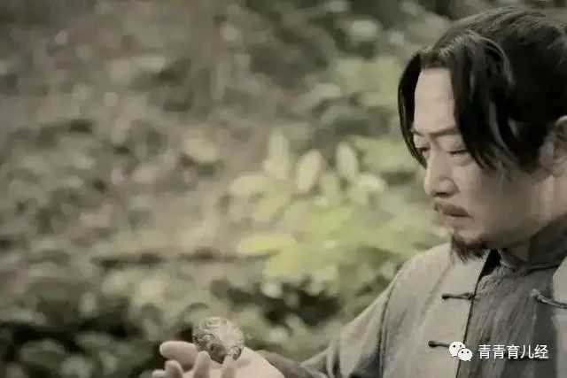 司藤结局_司藤结局没懂_司藤结局剧情