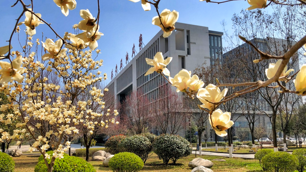 西安石油大学教务处网站_西安石油大学教务_西安石油大学教务处