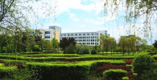 西安石油大学教务_西安石油大学教务处网站_西安石油大学教务系
