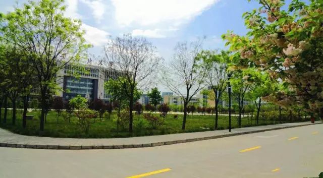 西安石油大学教务系_西安石油大学教务处网站_西安石油大学教务