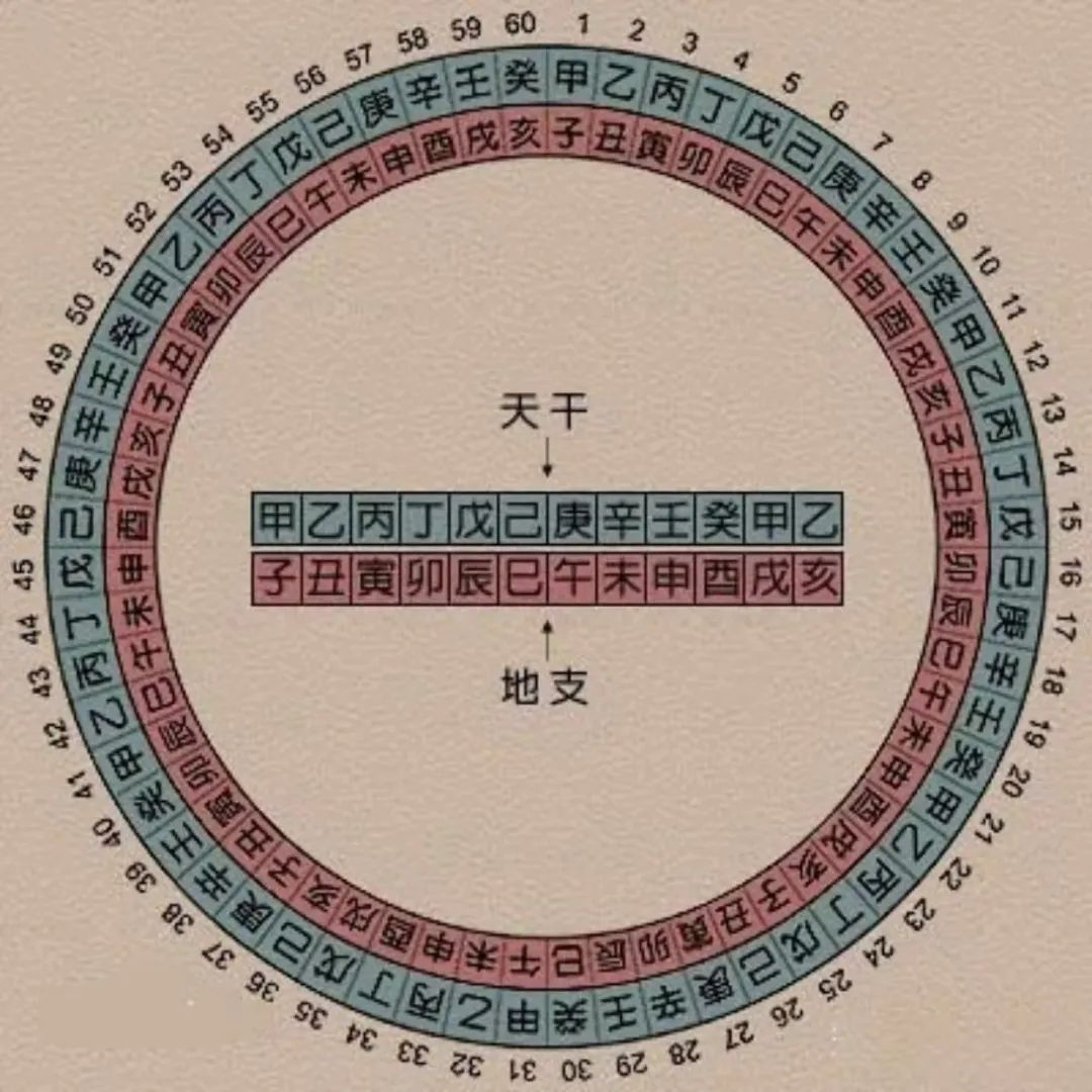 十二生肖中书肖是哪几个_十二生肖中的书肖_书肖是指哪几个生肖