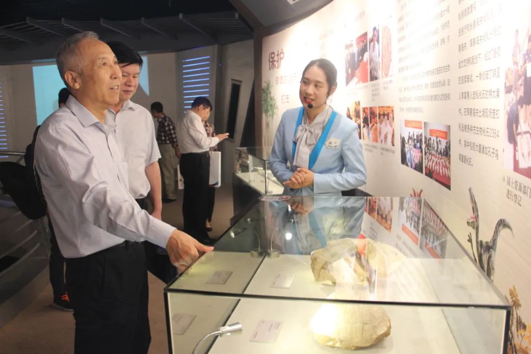 恐龙园有哪些游乐项目_恐龙园集团_恐龙园