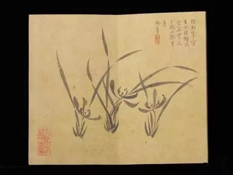 猧儿_猧狨怎么读_猧