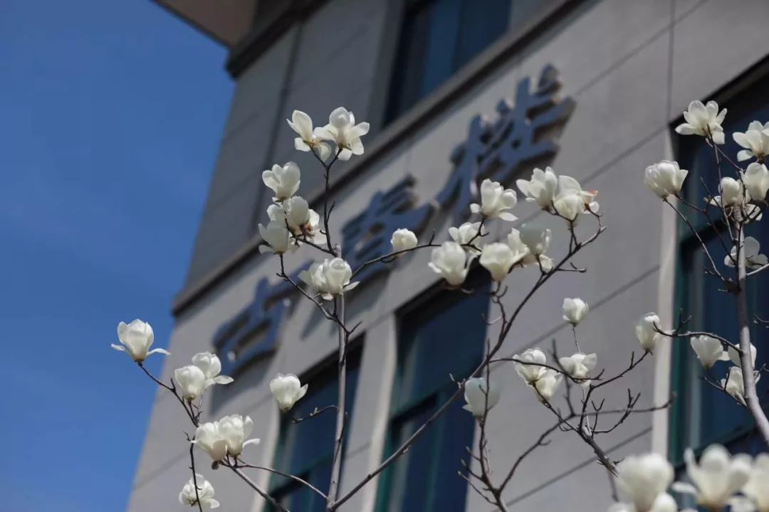 儁_儁怎么读_儁义怎么读