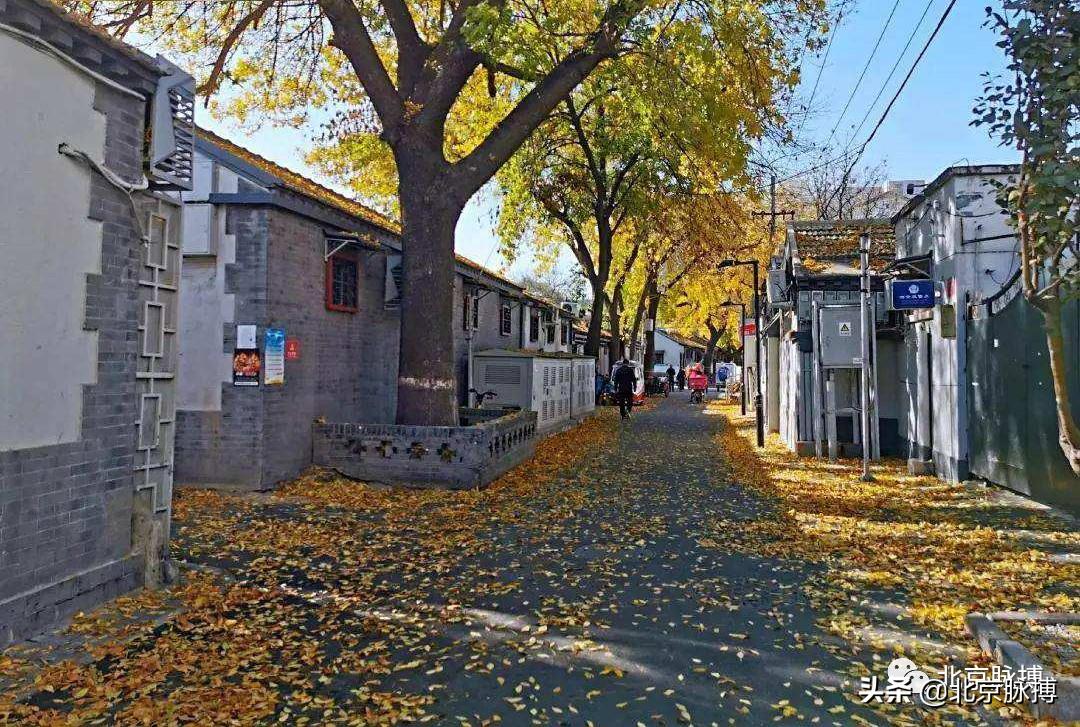 什么是京兆尹_京兆是什么意思_京兆的意思