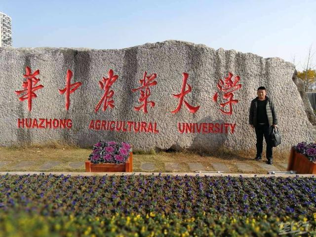 河南大学是985211么_河南大学是985还是211_河南大学是985211吗知乎