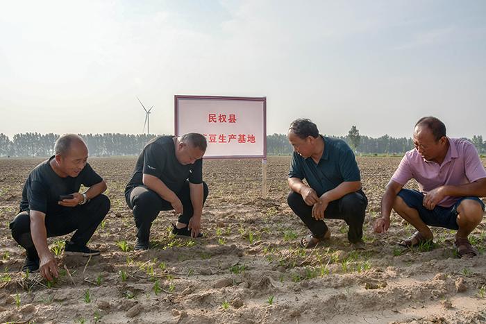 河南大学是985211么_河南大学是985211学校吗_河南大学是985还是211
