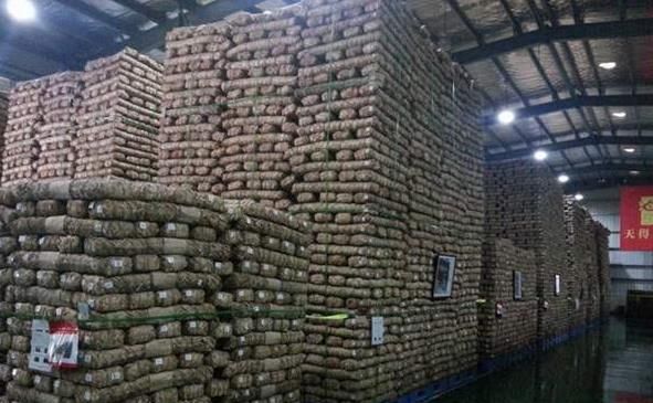 立顿减肥茶有效果吗_立顿茶减肥可以喝吗_立顿减肥茶