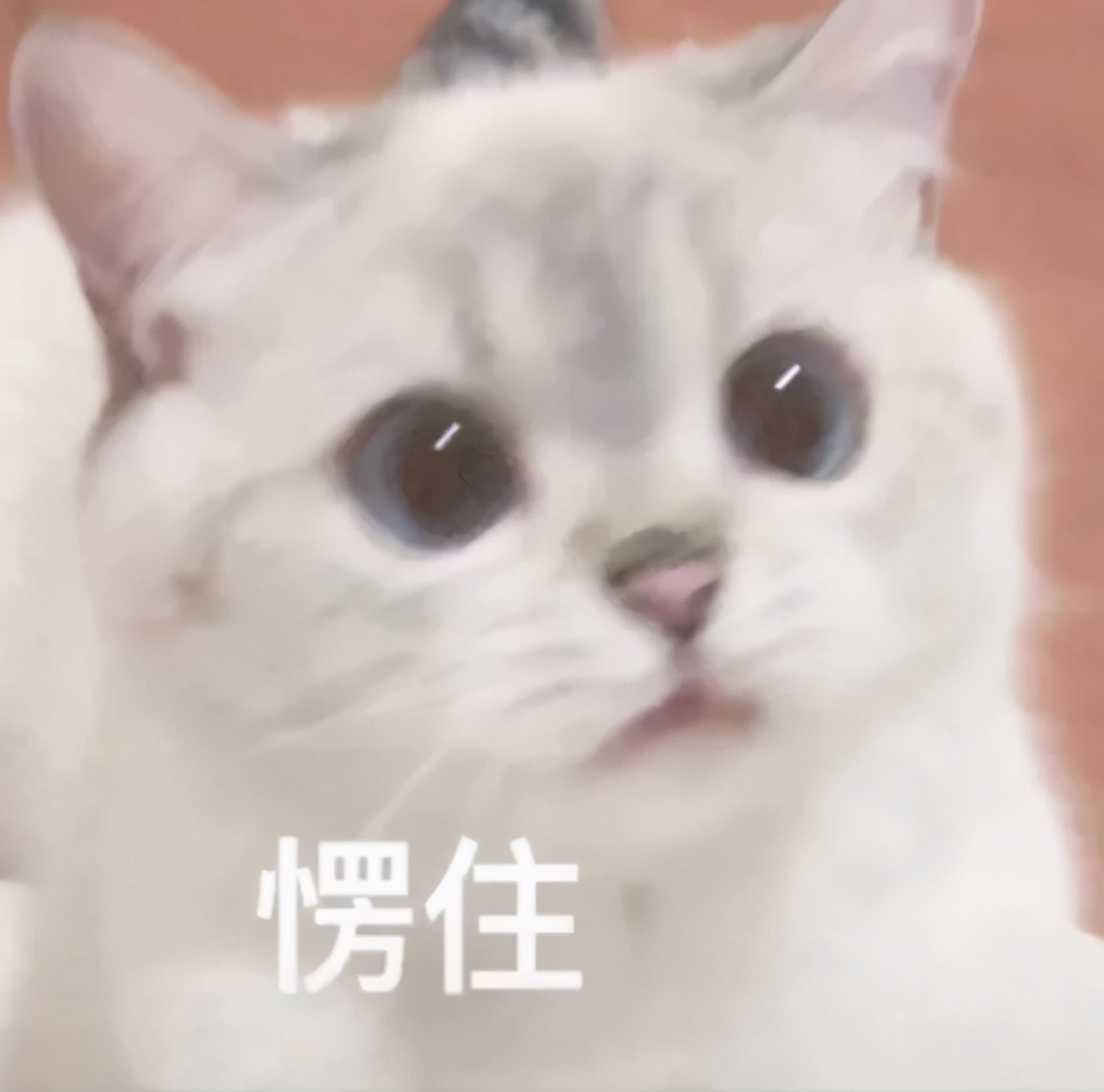 意思是打算的英文_意思是什么_dbq是什么意思