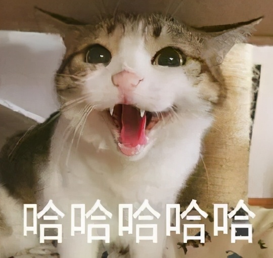 意思是什么_dbq是什么意思_意思是打算的英文