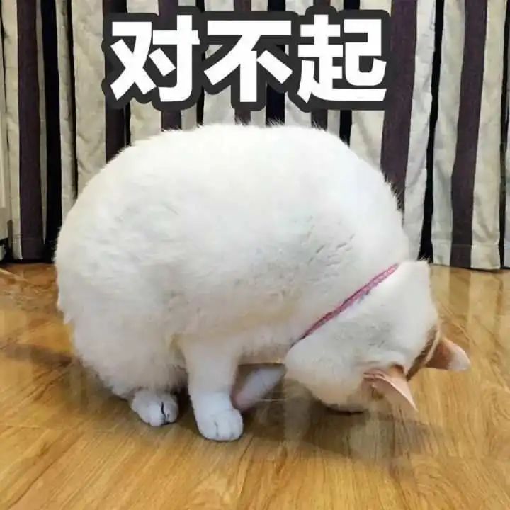 意思是打算的英文_意思是什么_dbq是什么意思