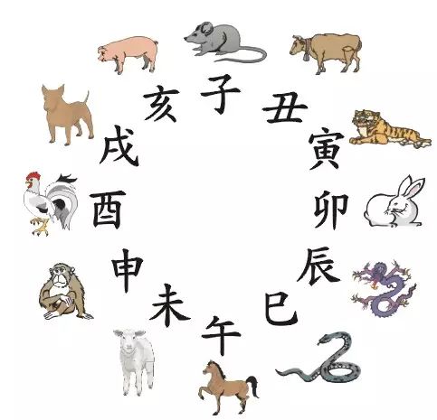 1902年属什么生肖_生肖属年份_生肖属年龄