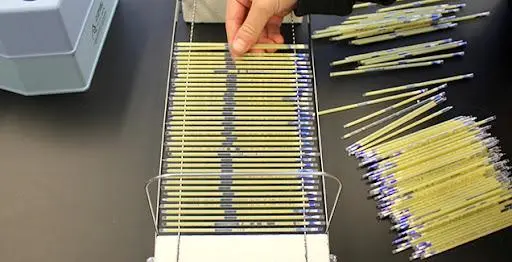 精贵_贵精不贵多什么意思_贵精不贵多下一句