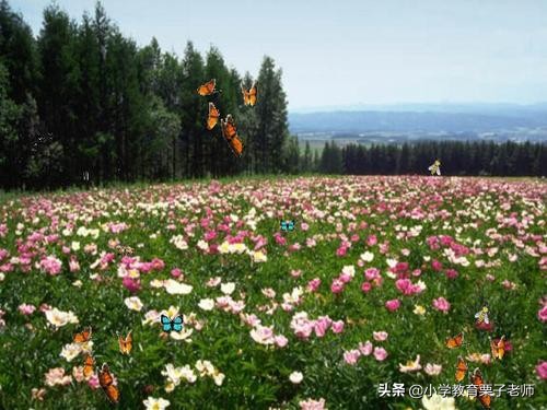 掩组词和部首_掩组词组_掩组词
