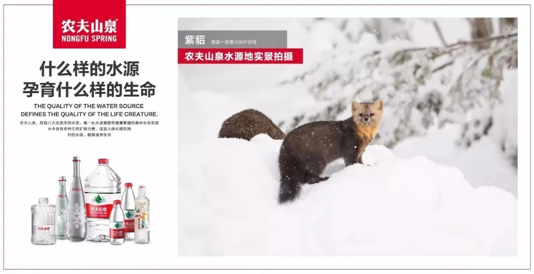 功不可没_微信电话本功没了吗_qq没有附近人功能了