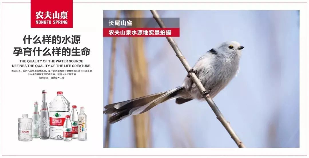 qq没有附近人功能了_微信电话本功没了吗_功不可没