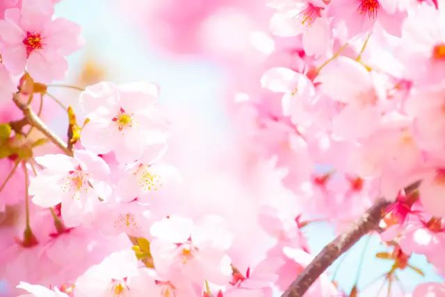 芯蕊怎么读_芯蕊怎么读_芯蕊怎么读