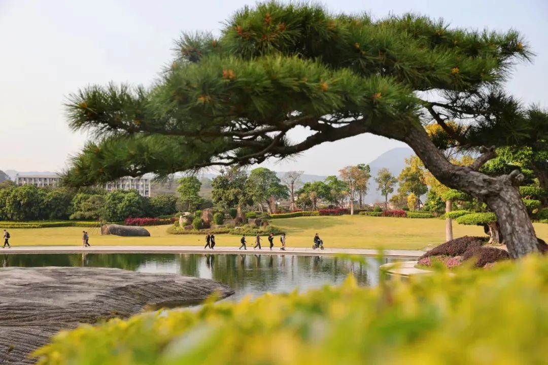 泉州信息工程学院建筑_泉州工程信息学院_泉州工程信息学院地址