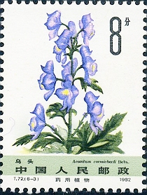 茛_茛菪_茛菪这个字怎么读