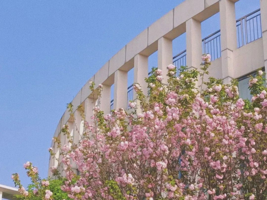 四川工商学院眉山校区_四川工商学院眉山校区全景vr_四川工商学院眉山校区贴吧