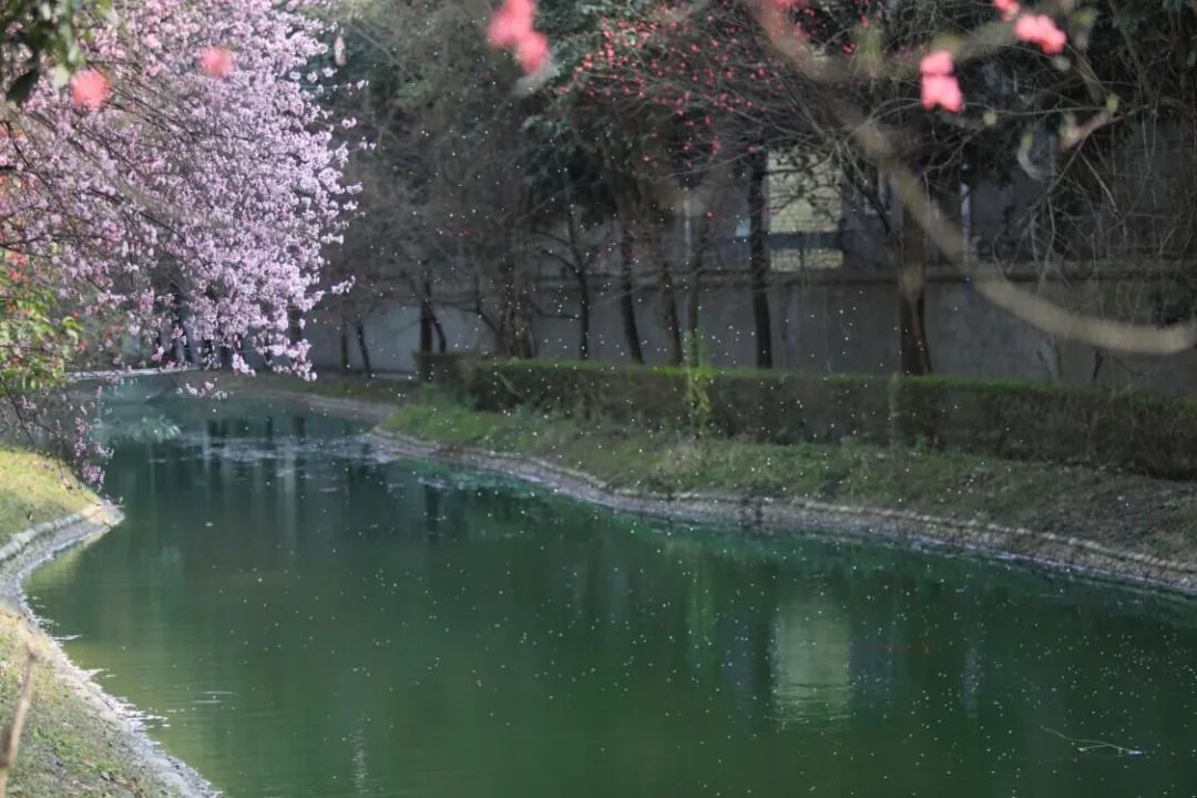 四川工商学院眉山校区全景vr_四川工商学院眉山校区_四川工商学院眉山校区贴吧