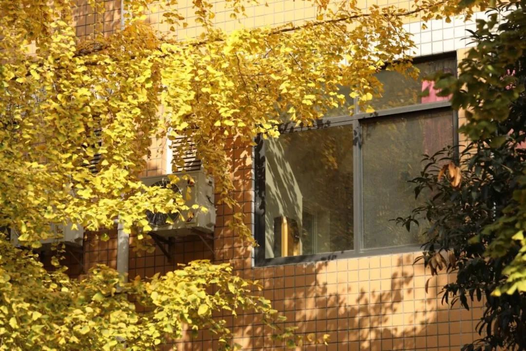 四川工商学院眉山校区贴吧_四川工商学院眉山校区全景vr_四川工商学院眉山校区