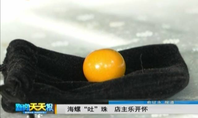 美乐珠_美乐珠_美乐珠