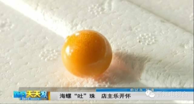 美乐珠_美乐珠_美乐珠