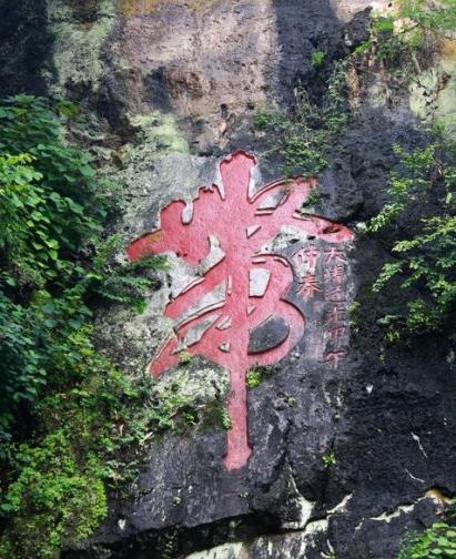 求合体无限猫币_求合体2_求合体