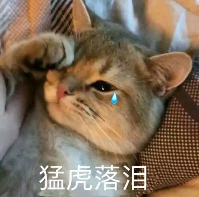 免费算八字生辰八字_免费算命生辰八字_八字算命生辰免费测算
