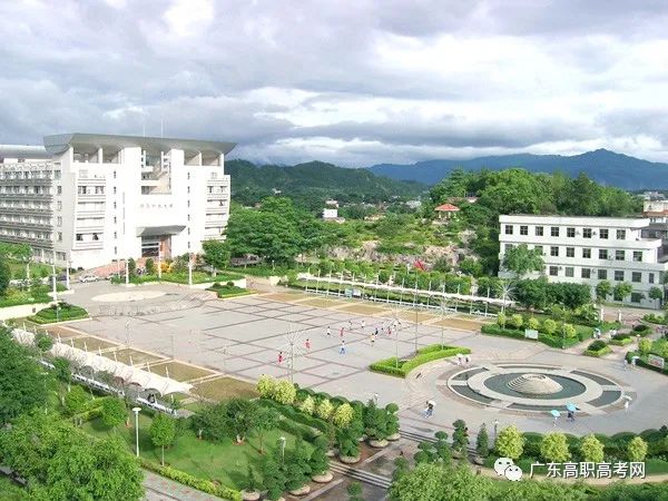 本科录取分数线_本科学校录取线分数_录取分数本科线怎么算