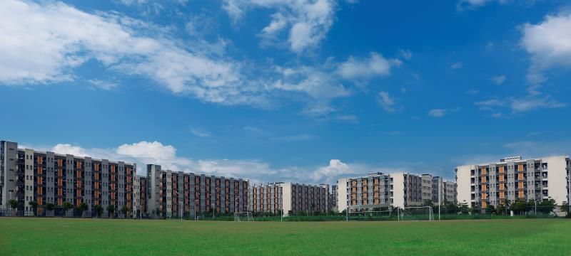 本科录取分数线_录取分数本科线怎么算_本科学校录取线分数