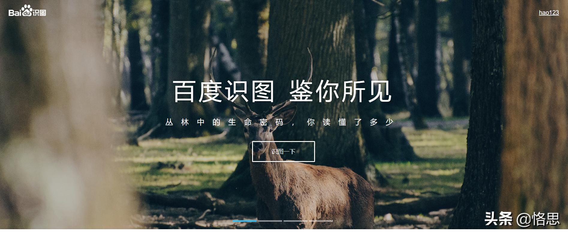 镜像谷歌学术搜索引擎下载_谷歌学术镜像什么意思_谷歌学术搜索镜像
