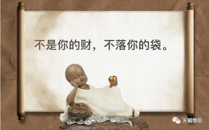铁公鸡拔毛的意思_铁公鸡拔毛是什么生肖_一毛不拔铁公鸡是什么生肖