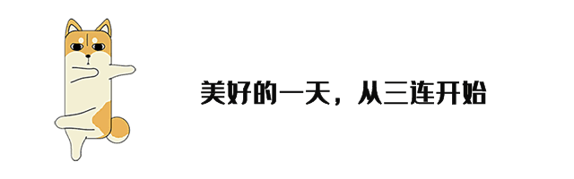掘墓人_掘墓人比喻什么_掘墓人游戏