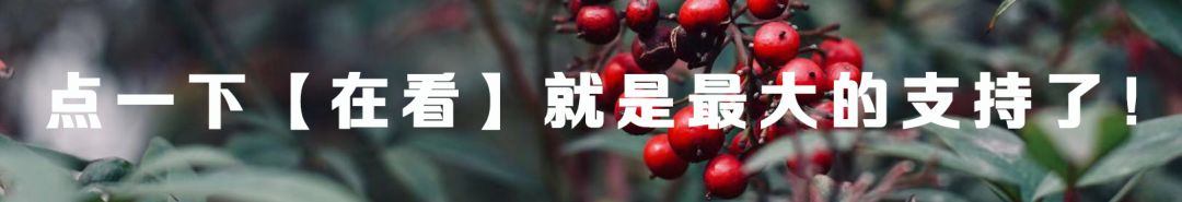 上海一本学校_上海学校本科分数线_上海学校本科率